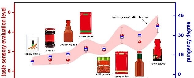 اختراع زبان مصنوعی برای سنجش تندی غذا