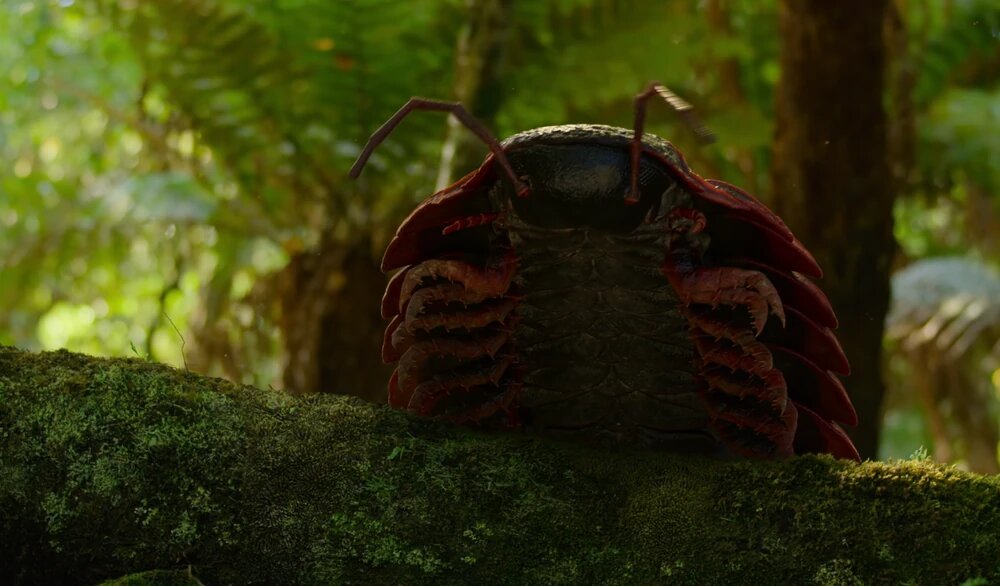 هزارپای غول‌پیکر ۳ متری / کابوس جنگل‌ به اندازه یک خودرو